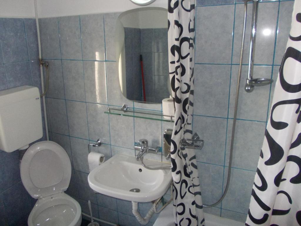 Pensiunea Adina Cavnic Quarto foto